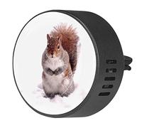 Timmershabi Squirrel On the Snow - Difusor de aromaterapia para coche, difusor de fragancia para coche, difusor de ventilación para coche, oficina, cocina