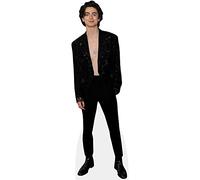 Timothée Chalamet (Topless) tamano natural
