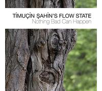 Timucin Sahin'S Flow State - Nothing Bad Can Happen