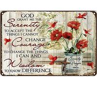 Tin God Grant Me The Serenity to Accept The Things I Cannot Change - Letrero vintage de hojalata novedoso divertido para el hogar, familia, amigo, regalo, baño, patio, bar, pub, cueva de hombre, 30,5