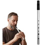 Tin Whistle D para principiantes - Flauta irlandesa de seis agujeros, timbre claro, acabo plateado antioxidante & kit de inicio (incluye funda & tabla de digitación)