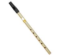 Tin Whistle irlandés 6 agujeros clave de C para música | boquilla ABS y cuerpo de acero sin costuras, portátil para práctica y escenario, apto principiantes