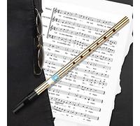 Tin Whistle irlandés en Re, 6 agujeros, acero y ABS | boquilla de resina ABS, cuerpo de acero sin costuras, mecanizado CNC preciso, portátil, para principiantes