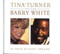 Tina Turner - In Your Wildest Dreams(usa Gr Boitier)