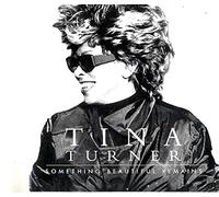 Tina Turner - Something Beautiful Remains - 2 Track Cardsleeve CD