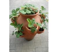 Tinaja Jardinera de Barro con 9 Huecos XL 55x55