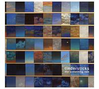 TINDERSTICKS - THE SOMETHING RAIN [Vinilo]