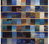Tindersticks The Something Rain (Vinyl) 12" Album (Importación USA)