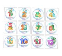 TINEASUR 12piezas Stickers De Crecimiento Mensual para Bebés Props Fotográficos De para Recién Nacidos para Capturar Momentos Especiales
