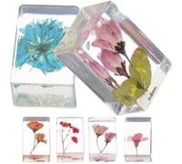 TINEASUR 6 Piezas de Pisapapeles de Resina Ámbar Flor Seca, Decoración Creativa y Portátil, Adecuado para Obsequio y Educación Científica Varios estilos
