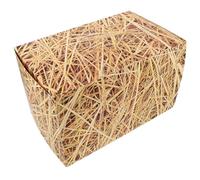 TINEASUR Caja de Heno Decorativa de 40x25x25 Cm, Paca de Paja Artificial Portátil de 178 G para Decoración de Fiesta Temática Oeste, Jardín y Eventos Campestres, Accesorio Rústico Seguro