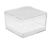 TINEASUR Caja Transparente y Diseño Elegante para Plástico Resistente para Exhibición de Insectos Adecuado para Entusiastas Entomología y Coleccionistas Organizados