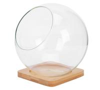 TINEASUR Florero de Vidrio Transparente para Suculentas Abertura Inclinada, Maceta Decorativa de Micropaisaje 13,5x13,5 Cm Soporte de Bambú 10 Cm, Maceta de Almacenamiento Multifuncional