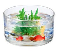 TINEASUR Maceta de Vidrio Transparente 15x15x8 Cm para Cultivo Hidropónico Gran Capacidad, Jarrón Decorativo de Cristal para Plantas Pequeñas y Terrario para Suculentas en Jardín y Hogar