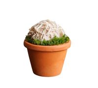 Tingyilan Cristales Y Piedras Curativas Mini Plantas Suculentas De Cristal Para Energía Positiva, Árbol De Piedras Curativas Para El Dinero Hecho A Mano Con Buena Suerte,Shamo