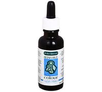 Tinte Azul - Artículos de Higiene para Perros - 30 ml - Colorante Especial para Avivar el Color Natural - Aporta Luminosidad y Brillo - IV San Bernard