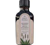 Tintura de plátano (Plantago Lanceolata) Macer Floridus, gotas, elixir, planta medicinal natural, poder curativo, medicina monástica, jardín monástico, libro de hierbas, hierbas medicinales