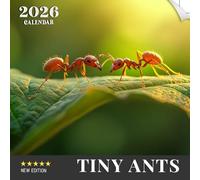 Tiny Ants Calendar 2026: A year of miniature world explorers