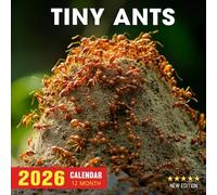 Tiny Ants Calendar 2026: A year of miniature world explorers