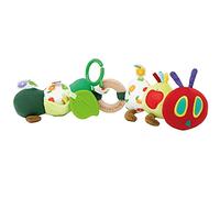 Tiny Caterpillar juguete de actividades