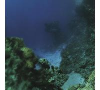 Tiny fingers - The fall