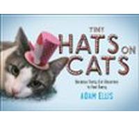 Tiny Hats On Cats (ebook)