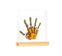 Tiny Love – Kit Huellas Familiares, Huella bebé: Marco de madera DIY, Dermatológicamente testado