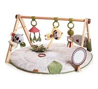 Tiny Love Luxe Developmental Gymini, Gimnasio Infantil Evolutivo, Boho Chic | Gimnasio Bebe, 0+ Meses, 20 Actividades, Juguete Musical Portátil, 12 Tarjetas de Logros, Tejidos Premium