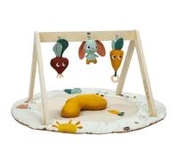 Tiny Love Luxe Developmental Gymini, gimnasio para bebés desde 0 meses, alfombra de juego con actividades 360°, cojín tummy time, arcos ajustables, juguete portátil, Garden of Adventures