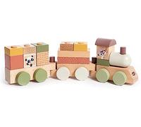 Tiny Love Tren de Madera Apilable, Tren de Madera, Boho Chic | Clasificador de Formas de Madera, Desde 18 Meses, 3 Vagones, 14 Bloques Apilables, Favorece la Creatividad y la Motricidad