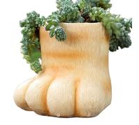 Tiny Plant Pots, Cat Paw Resin Planter, 8x8x7.2cm Succulents Pot, Decorative Flower Holder for Bedroom, Living Room, Study Room, Balcony, Desk Shelf, Windowsill, Outdoor Garden, Home Office, Women