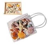 Tiny Seashells For Crafts - Natural Sea Theme Candle Making Starfish Small