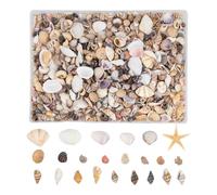 Tiny Shells - Multicolor, conchas marinas para decoración de jarrones, para aficionados profesionales, de 8 onzas, formas variadas, océano natural | Niños, Arte, Profesores, Artistas, Acuario, P