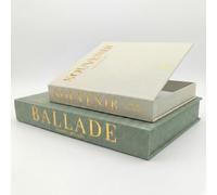 TIPICHOU Libros Decorativos Falsos de Lino - Set 2 Cajas Almacenaje Decorativas para Hogar Salon Estanteria - Libro Caja Hueco Guarda Mandos y Objetos - Decoración Interiores (Verde Salvia y Beige)
