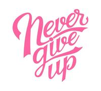 tipográfico nunca te rindas Calcomanías de letras 67.2x70.1cm Decoración de carrocerías Rosa