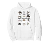 Tipos de arañas Gráfico Educativo de Especies para niños y niñas Sudadera con Capucha