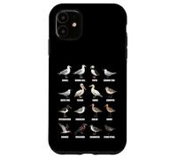 Tipos de Aves Playeras y Aves Marinas - Tabla de Especies de Aves costeras Carcasa para iPhone 11