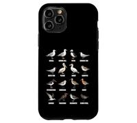 Tipos de Aves Playeras y Aves Marinas - Tabla de Especies de Aves costeras Carcasa para iPhone 11 Pro
