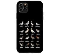 Tipos de Aves Playeras y Aves Marinas - Tabla de Especies de Aves costeras Carcasa para iPhone 11 Pro MAX
