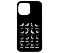 Tipos de Aves Playeras y Aves Marinas - Tabla de Especies de Aves costeras Carcasa para iPhone 13 Pro MAX