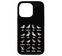 Tipos de Aves Playeras y Aves Marinas - Tabla de Especies de Aves costeras Carcasa para iPhone 13 Pro