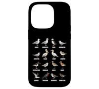 Tipos de Aves Playeras y Aves Marinas - Tabla de Especies de Aves costeras Carcasa para iPhone 14 Pro