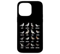 Tipos de Aves Playeras y Aves Marinas - Tabla de Especies de Aves costeras Carcasa para iPhone 14 Pro MAX