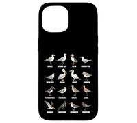 Tipos de Aves Playeras y Aves Marinas - Tabla de Especies de Aves costeras Carcasa para iPhone 15