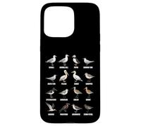 Tipos de Aves Playeras y Aves Marinas - Tabla de Especies de Aves costeras Carcasa para iPhone 15 Pro MAX