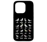Tipos de Aves Playeras y Aves Marinas - Tabla de Especies de Aves costeras Carcasa para iPhone 15 Pro
