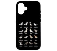 Tipos de Aves Playeras y Aves Marinas - Tabla de Especies de Aves costeras Carcasa para iPhone 16