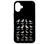 Tipos de Aves Playeras y Aves Marinas - Tabla de Especies de Aves costeras Carcasa para iPhone 16 Plus