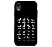 Tipos de Aves Playeras y Aves Marinas - Tabla de Especies de Aves costeras Carcasa para iPhone XR