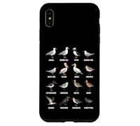 Tipos de Aves Playeras y Aves Marinas - Tabla de Especies de Aves costeras Carcasa para iPhone XS MAX